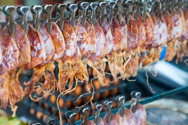 Roasted Squids Hanged At Road Side Stall In Bangkok, Thailand